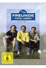 Freunde fürs Leben - Staffel 1  [4 DVDs] DVD-Cover