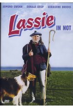 Lassie in Not DVD-Cover
