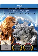 At the Edge - Die Tierwelt am Himalaya Blu-ray-Cover