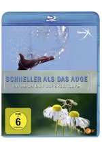 Terra X - Schneller als das Auge/Im Reich der Superzeitlupe Blu-ray-Cover