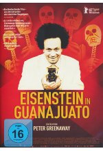 Eisenstein in Guanajuato DVD-Cover