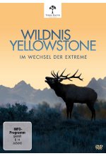 Wildnis Yellowstone - Im Wechsel der Extreme DVD-Cover
