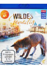 Wildes Venedig Blu-ray-Cover
