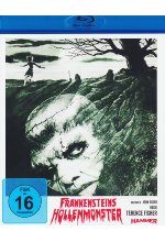 Frankensteins Höllenmonster - Hammer Edition 12  [LE] Blu-ray-Cover