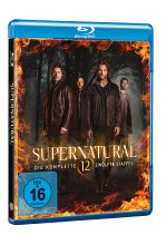 Supernatural - Staffel 12  [4 BRs] Blu-ray-Cover