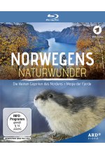Norwegens Naturwunder: Die kleinen Giganten des Nordens / Magie der Fjorde Blu-ray-Cover