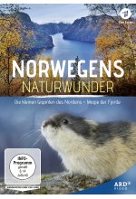 Norwegens Naturwunder: Die kleinen Giganten des Nordens / Magie der Fjorde DVD-Cover