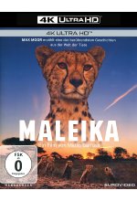 Maleika  (4K Ultra HD) Cover