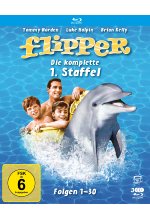 Flipper - Die komplette 1. Staffel  (Fernsehjuwelen)  [3 BRs] Blu-ray-Cover