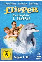 Flipper - Die komplette 1. Staffel  (Fernsehjuwelen)  [4 DVDs] DVD-Cover