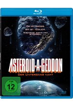 Asteroid-A-Geddon - Der Untergang naht Blu-ray-Cover