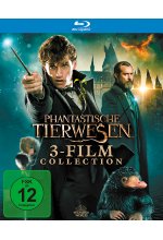 Phantastische Tierwesen 3-Film Collection  [3 BRs] Blu-ray-Cover