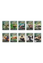 Abenteuer Zoo - Deutschland / Europa - 10er DVD-Package  [10 DVDs] DVD-Cover