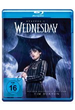 Wednesday: Staffel 1  [2 BRs] Blu-ray-Cover
